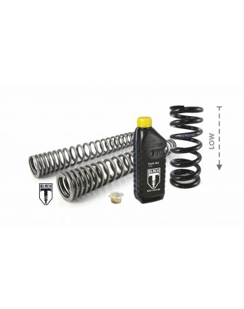 BLACK-T Tieferlegung -25mm für BMW R NineT SCRAMBLER / URBAN G/S 2016 - 2020