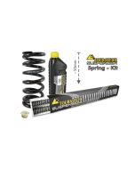 Tieferlegung um -25mm für BMW F900GS mit Enduro-Paket Pro, Austauschfedern