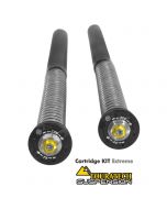 Touratech Suspension Cartridge Kit Extreme für Triumph Tiger Explorer (2012-2015)