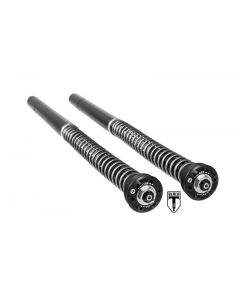 BLACK-T Cartridge Kit Stage4 für Triumph Thruxton-R (2016-2018)